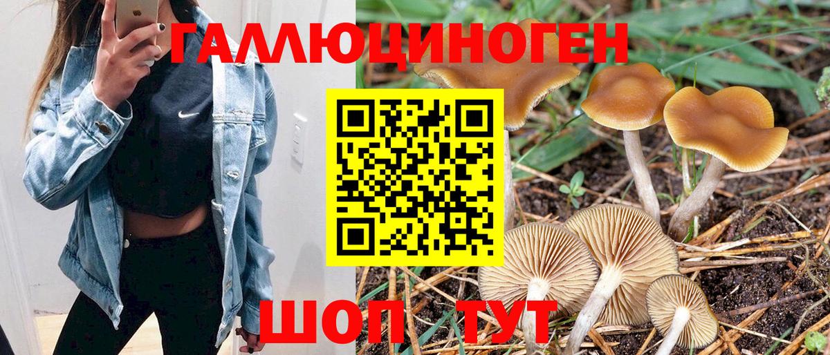 Клин  наркотики  Вход с VPN  Псилоцибиновые грибы Magic Shrooms 